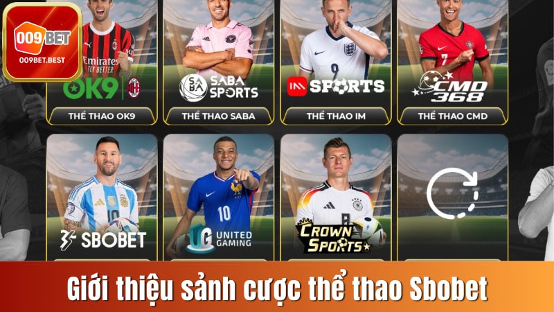 Giới thiệu tổng quan về sảnh cược thể thao SBO