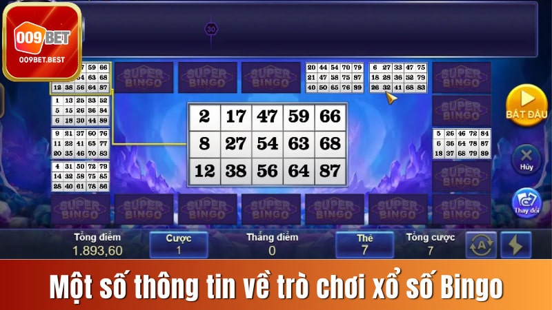 Một số thông tin về trò chơi Bingo