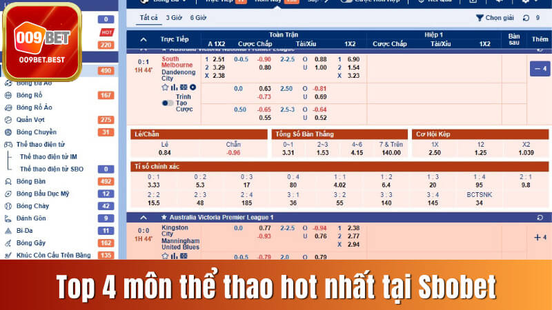 Top 4 môn thể thao được ưa chuộng nhất tại sảnh cược